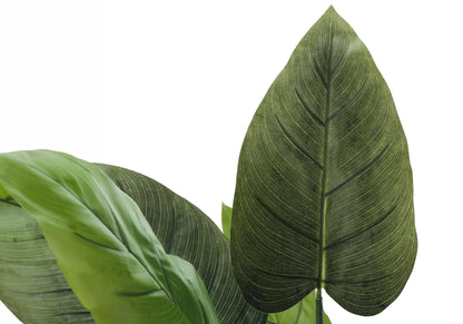 37&quot; Tall, Artificial Plant, Aureum Tree, Indoor, Faux, Fake, Floor, Greenery, Potted, Real Touch, Decorative - Green / Black