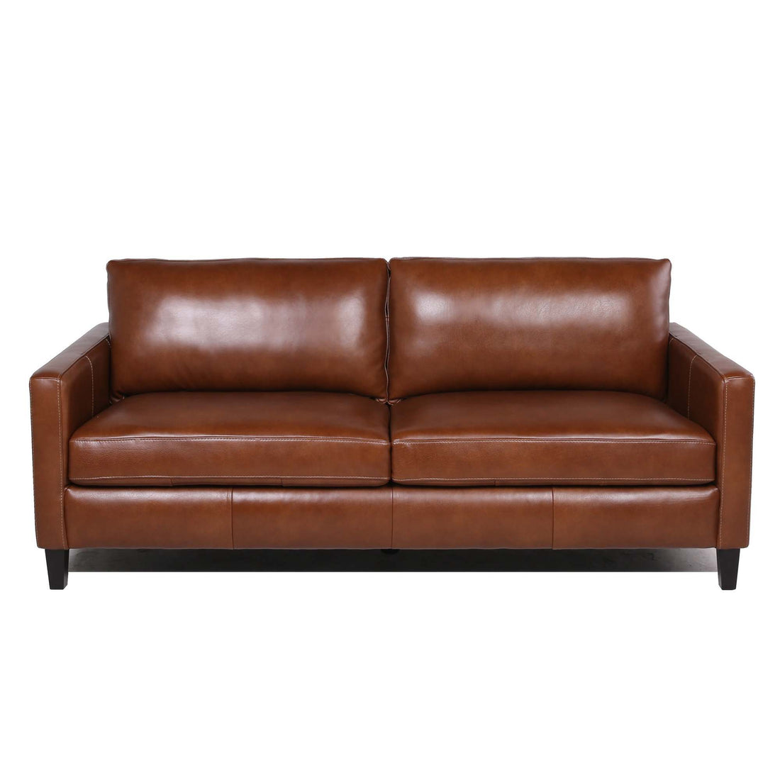 Modern &amp; Contemporary Leather Sofa