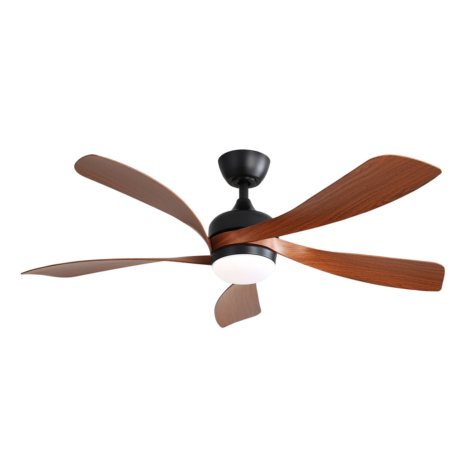 Ceiling Fan &amp; DC Motor And Integrated Light