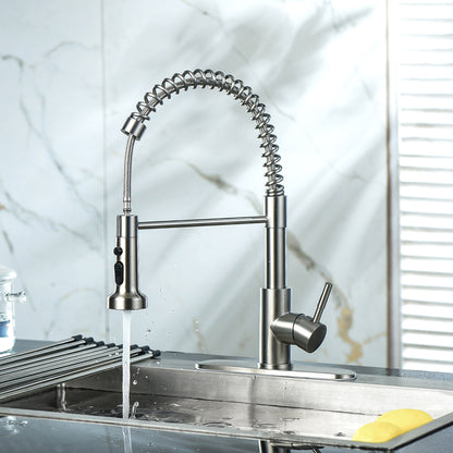 Kitchen Faucet With Pull Down Spray Head - Brushed Nickel