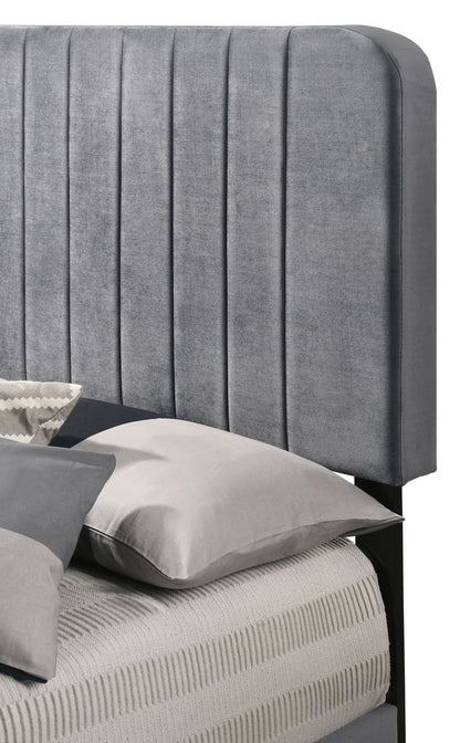 Lodi - Twin Bed - Gray