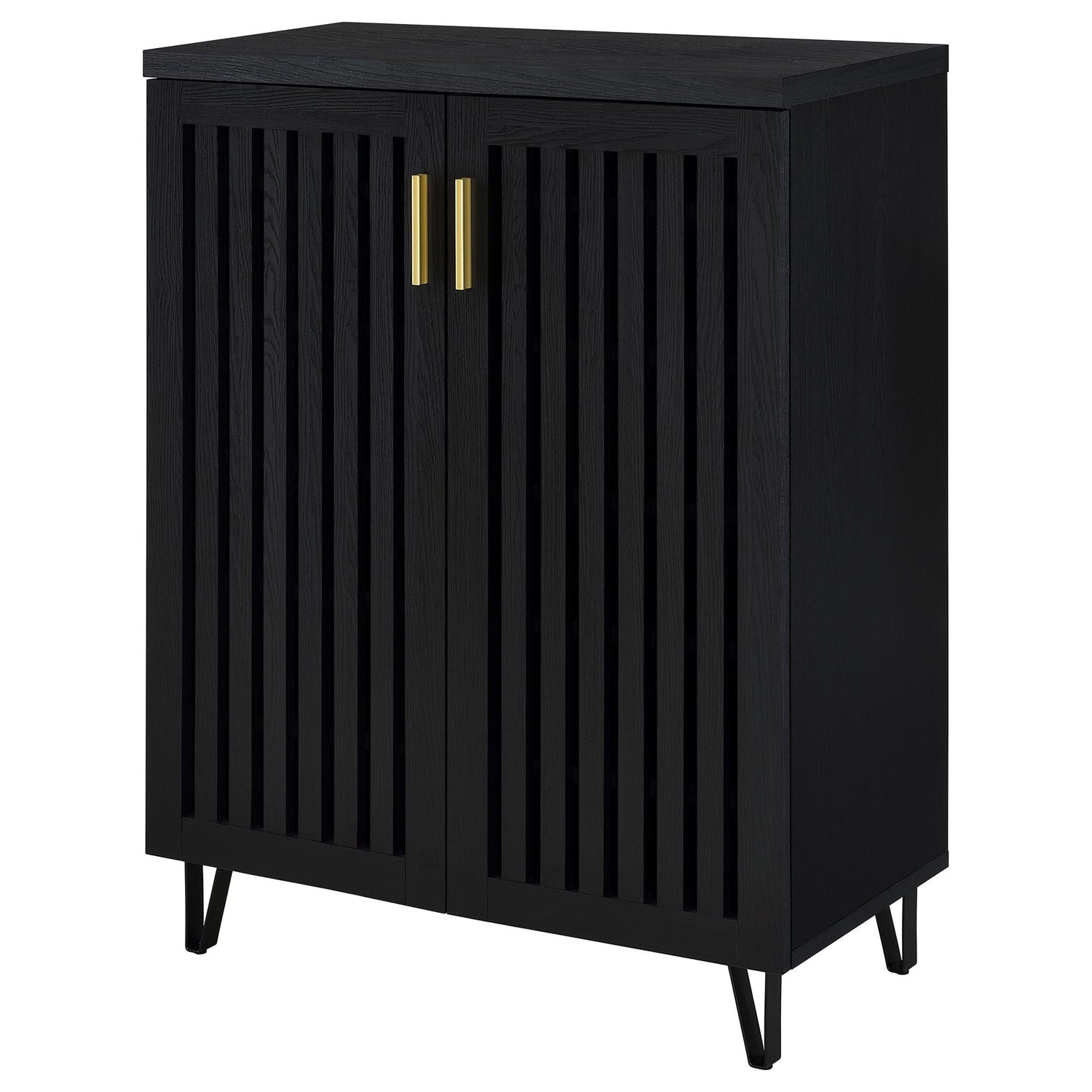 Clackamas - 2 Door Storage Cabinet With Adjustable Shelves