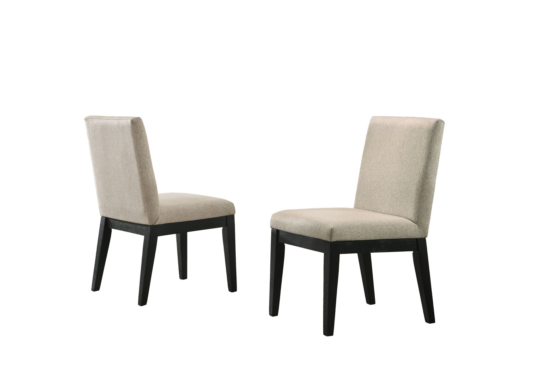 Jasper - Contemporary Fabric 19&quot; Dining Chair (Set of 2)