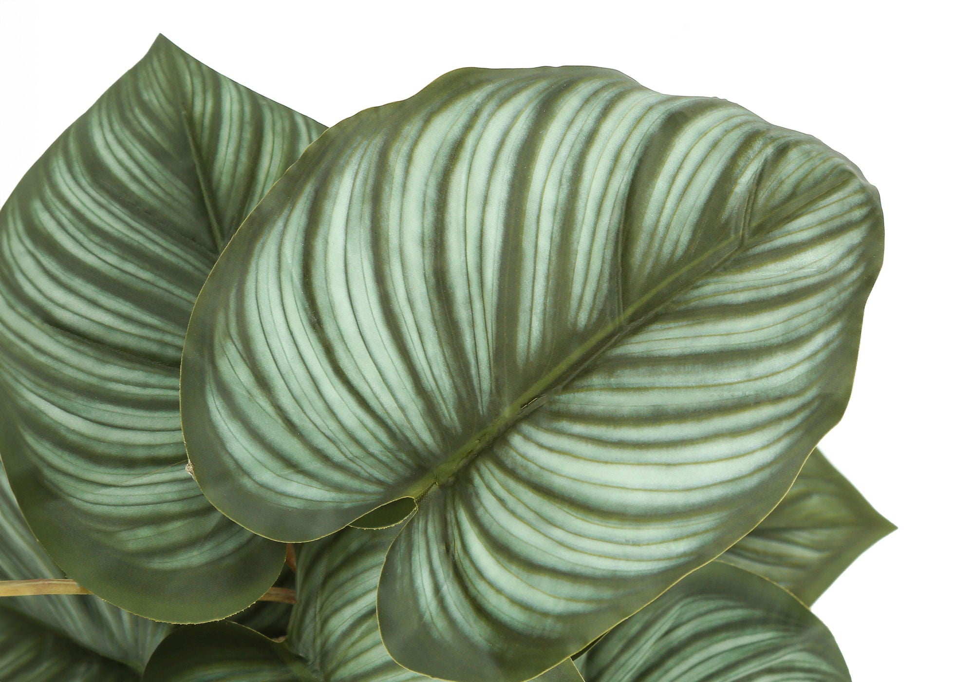 13&quot; Tall, Artificial Plant, Epipremnum, Indoor, Faux, Fake, Table, Greenery, Potted, Decorative (Set of 2) - Green / Black