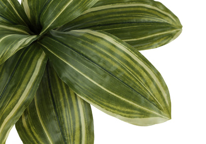 17&quot; Tall, Artificial Plant, Dracaena, Indoor, Faux, Fake, Table, Greenery, Potted, Real Touch, Decorative - Green / Black