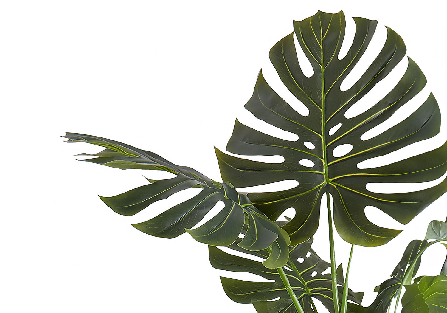 55&quot; Tall, Artificial Plant, Monstera Tree, Indoor, Faux, Fake, Floor, Greenery, Potted, Real Touch, Decorative - Green / Black