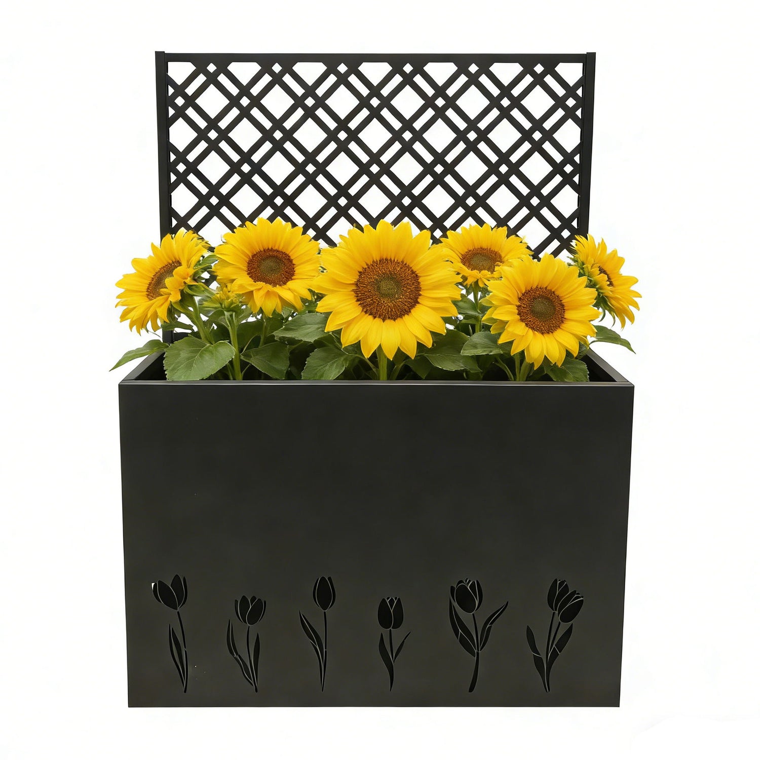 Tall Planter Raised Garden Bed With Trellis