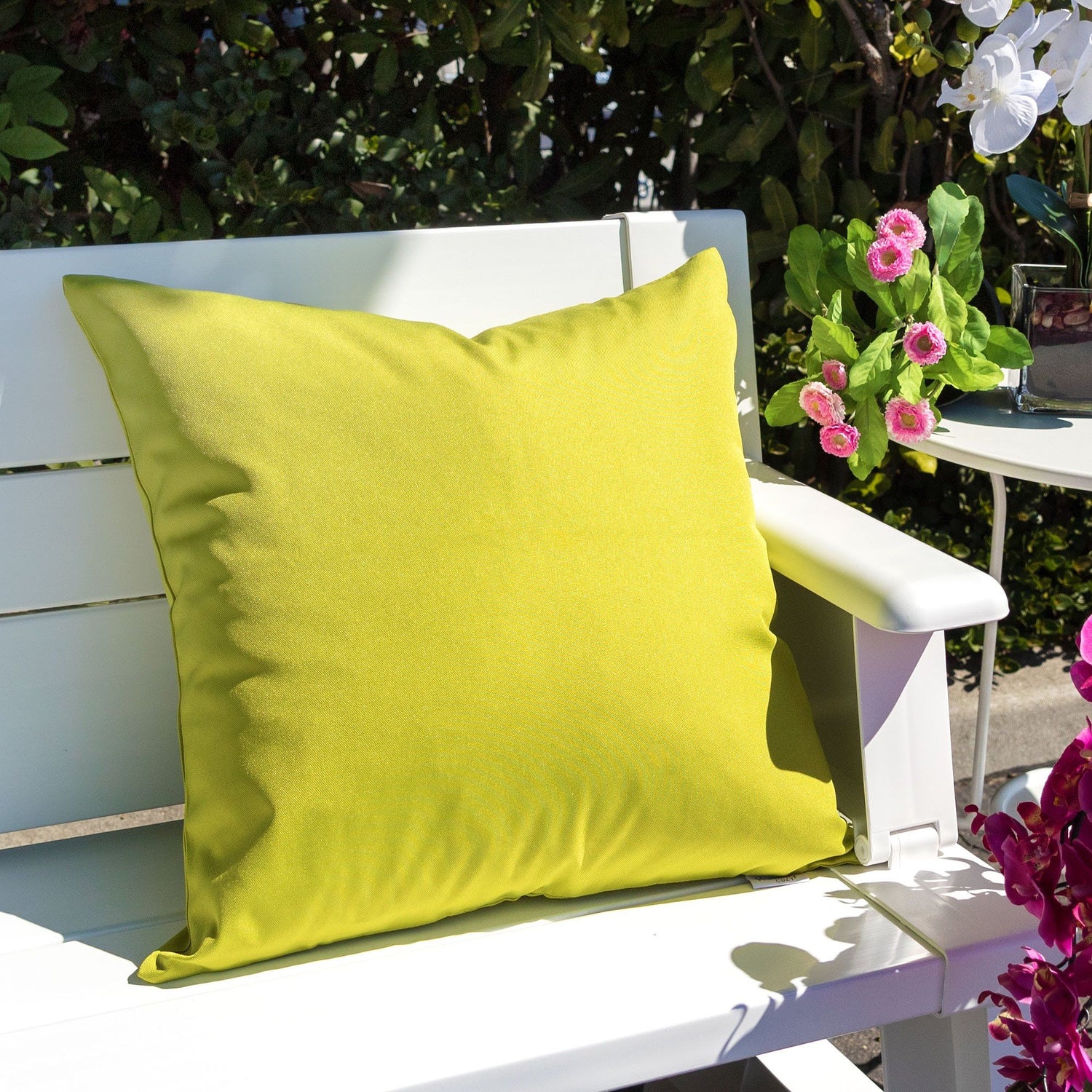 Amazon Rainforest - Solid Pillow
