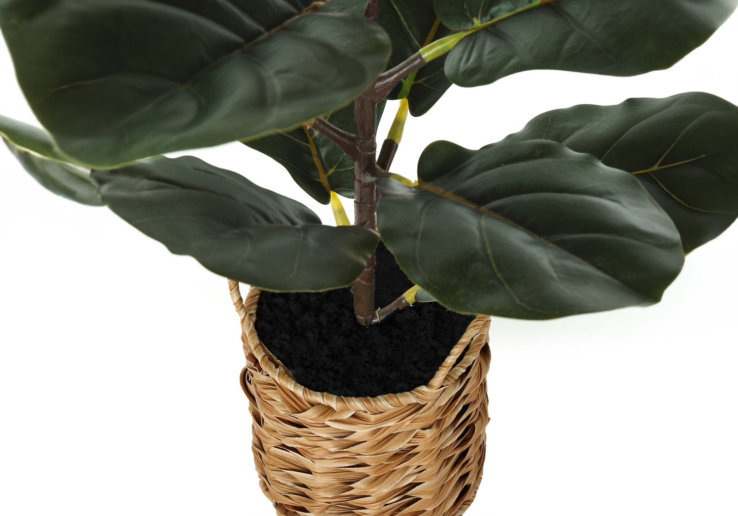 28&quot; Tall, Artificial Plant, Fiddle Tree, Indoor, Faux, Fake, Floor, Greenery, Potted, Real Touch, Decorative - Green / Beige