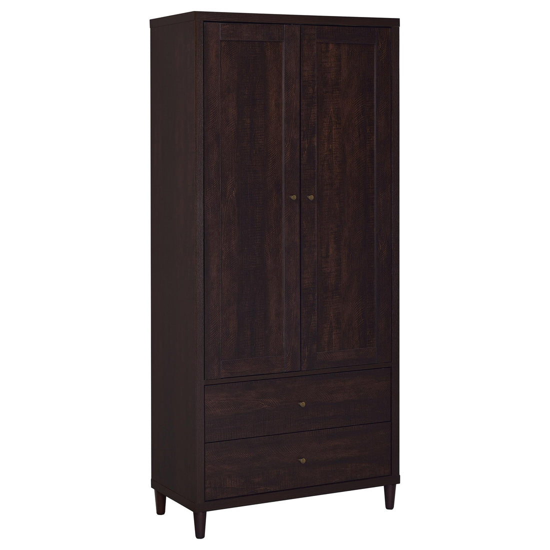 Nestor - 2 Drawer Tall Accent Cabinet With 2 Doors - Rustic