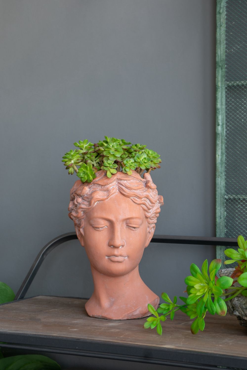 D7X11&quot; Visage Head Bust Planter - Brown