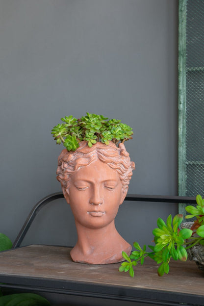 D7X11&quot; Visage Head Bust Planter - Brown