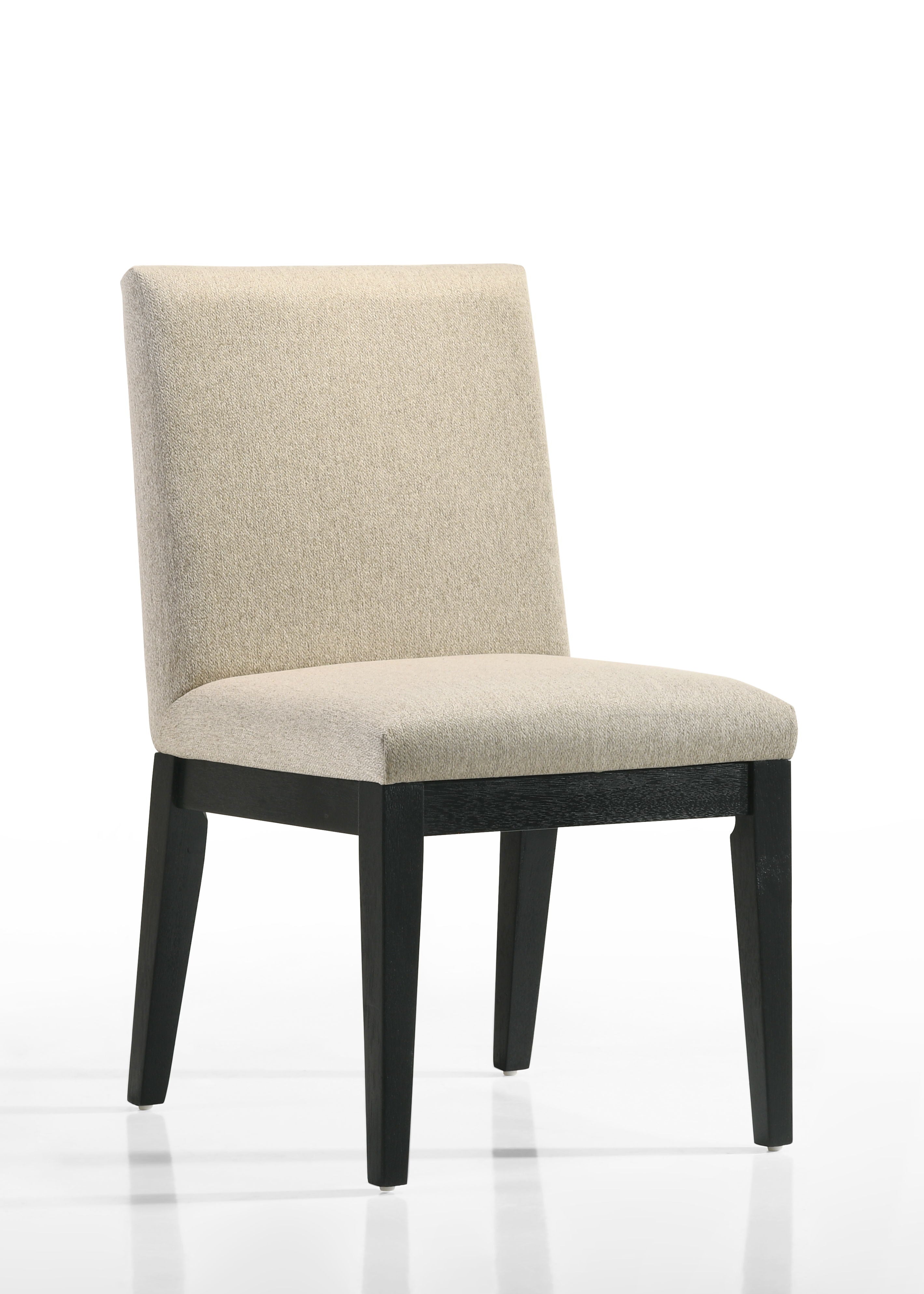 Jasper - Contemporary Fabric 19&quot; Dining Chair (Set of 2)