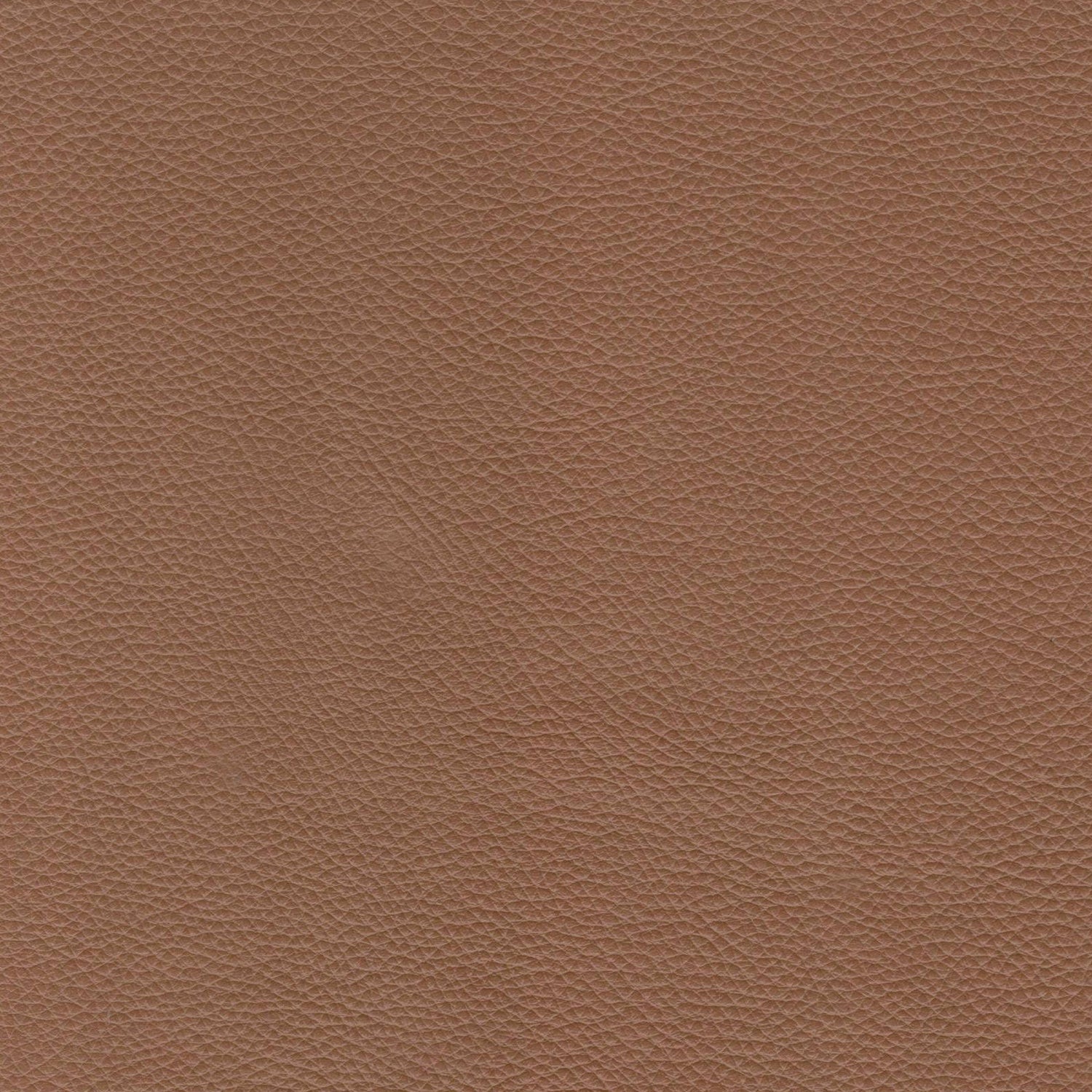Modern Leather Sofa - Caramel