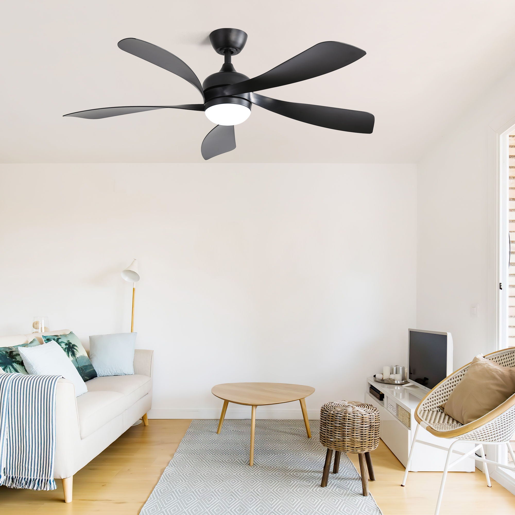 Ceiling Fan &amp; DC Motor And Integrated Light