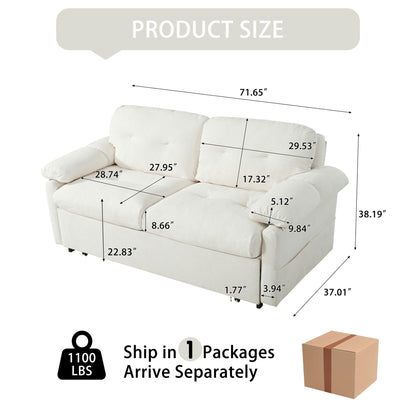 Modern Convertible Sleeper Sofa Bed With Pull-Out Queen Design, Side Storage &amp; Thick Cushions