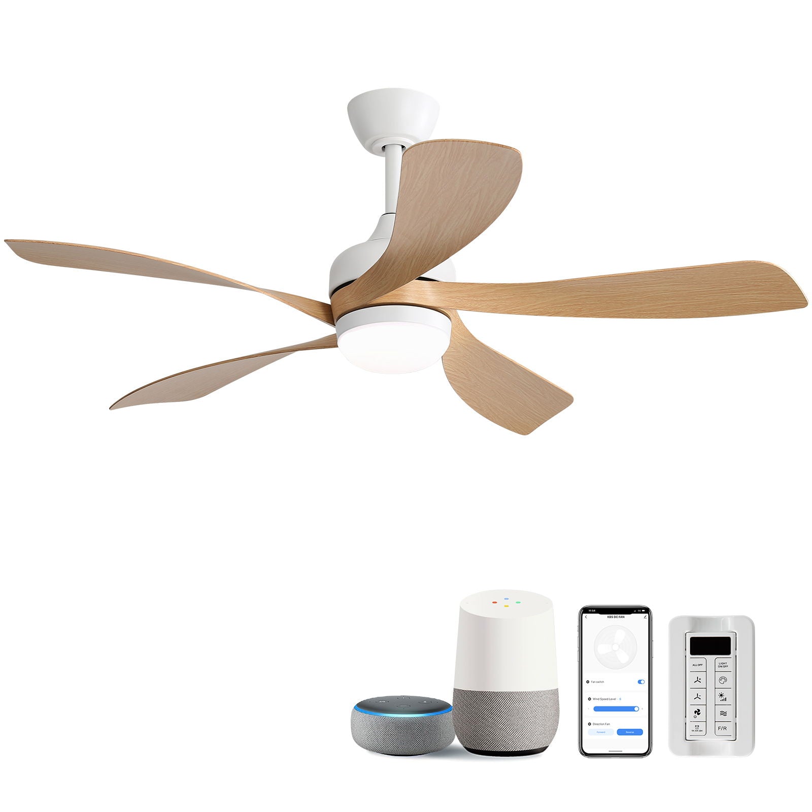Ceiling Fan &amp; DC Motor And Integrated Light