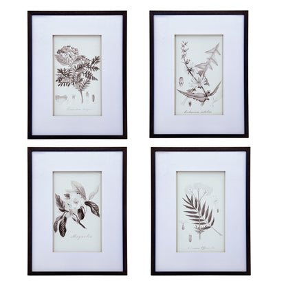 Botanical Wall Art Prints, Home Decor For Living Room Dining Room, Bedroom, Hallway (Set of 4) - White / Black