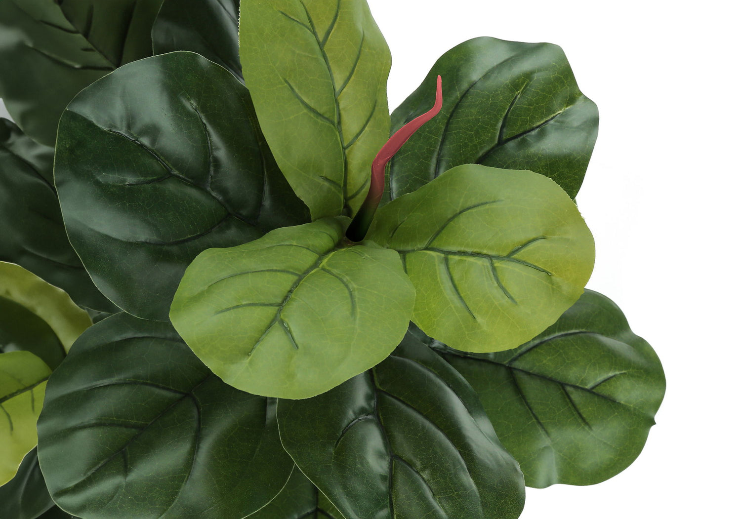 47&quot; Tall, Artificial Plant, Fiddle Tree, Indoor, Faux, Fake, Floor, Greenery, Potted, Real Touch, Decorative - Green / Black