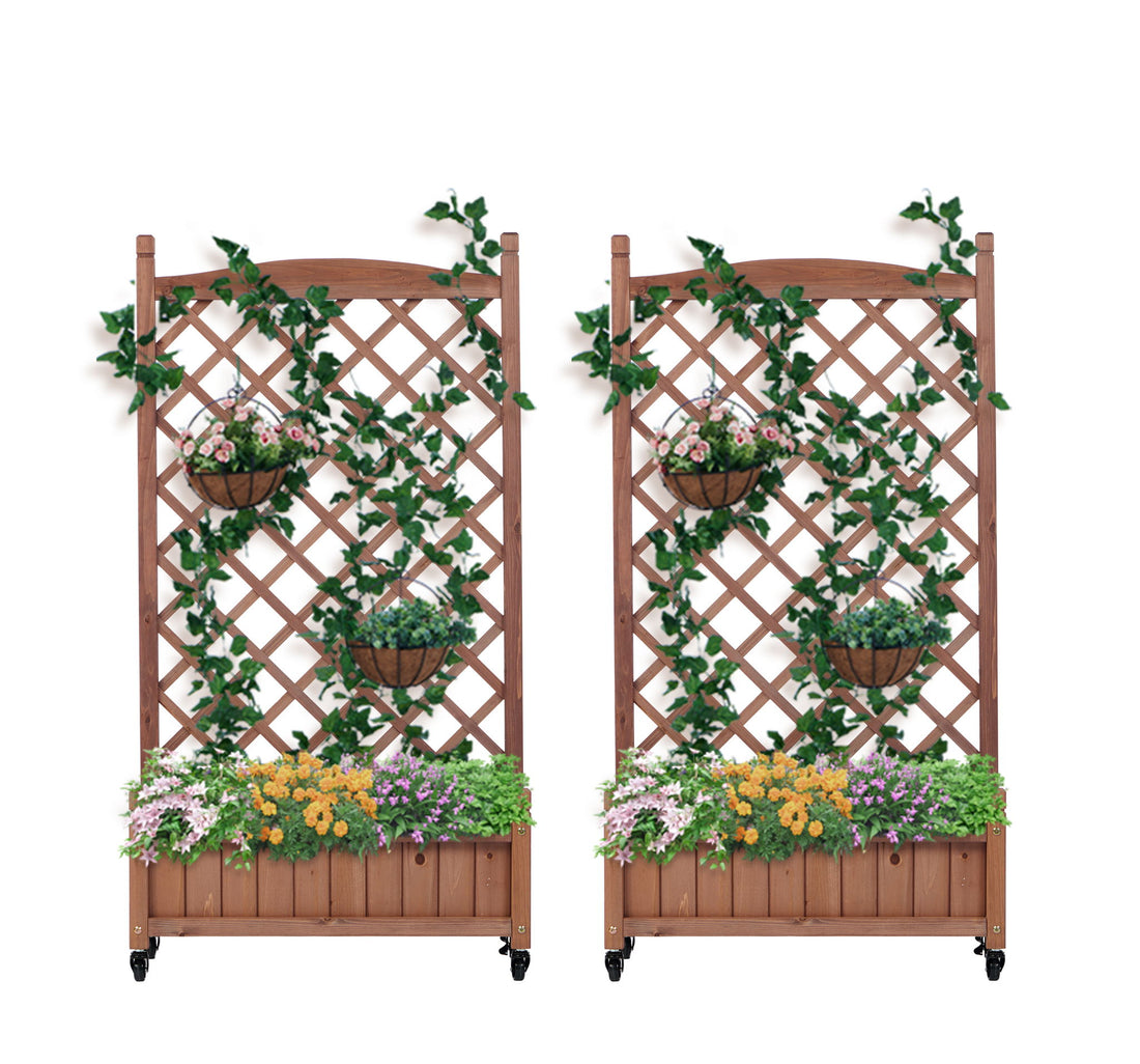 Raised Garden Bed With Trellis 2 Pack, Outdoor Planter Box &amp; Plant Stand With Climbing Racks - Brown