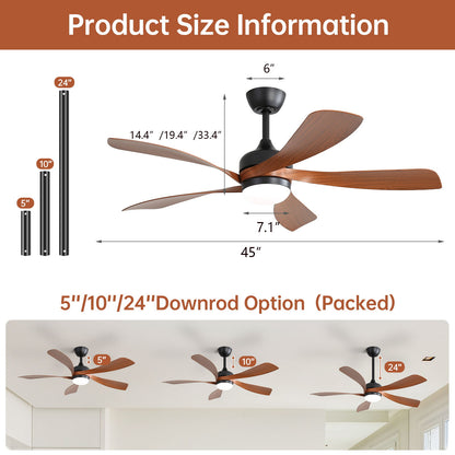 Ceiling Fan &amp; DC Motor And Integrated Light