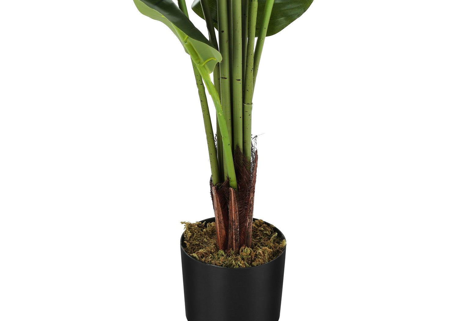 59&quot; Tall, Artificial Plant, Strelitzia Tree, Indoor, Faux, Fake, Floor, Greenery, Potted, Real Touch, Decorative - Green / Black