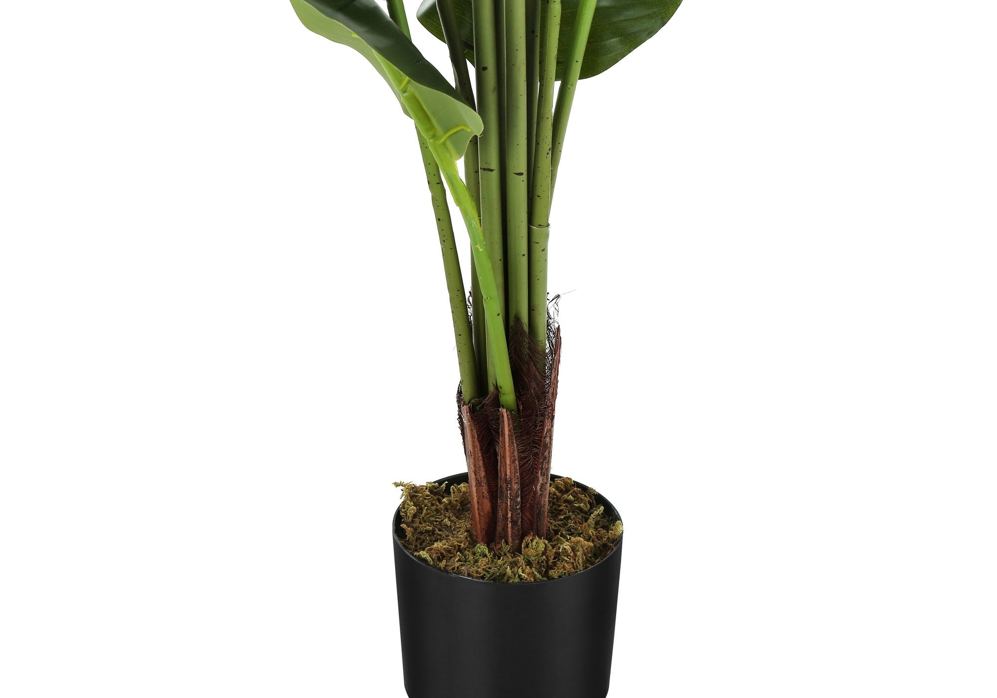 59&quot; Tall, Artificial Plant, Strelitzia Tree, Indoor, Faux, Fake, Floor, Greenery, Potted, Real Touch, Decorative - Green / Black