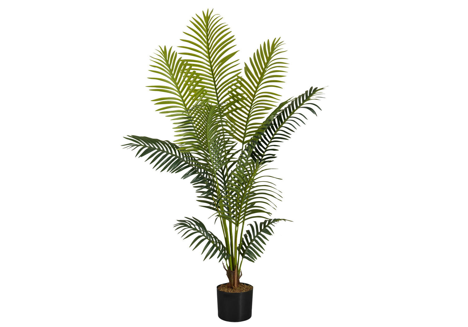 57&quot; Tall, Artificial Plant, Palm Tree, Indoor, Faux, Fake, Floor, Greenery, Potted, Real Touch, Decorative - Green / Black