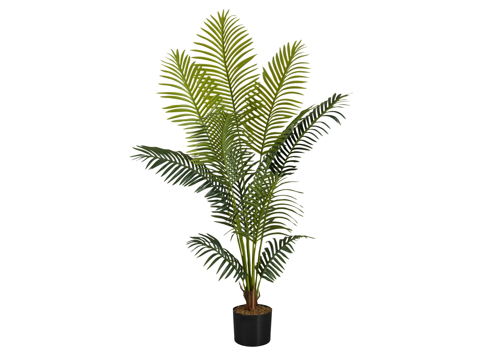 57&quot; Tall, Artificial Plant, Palm Tree, Indoor, Faux, Fake, Floor, Greenery, Potted, Real Touch, Decorative - Green / Black