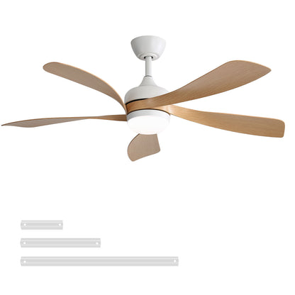 Ceiling Fan &amp; DC Motor And Integrated Light