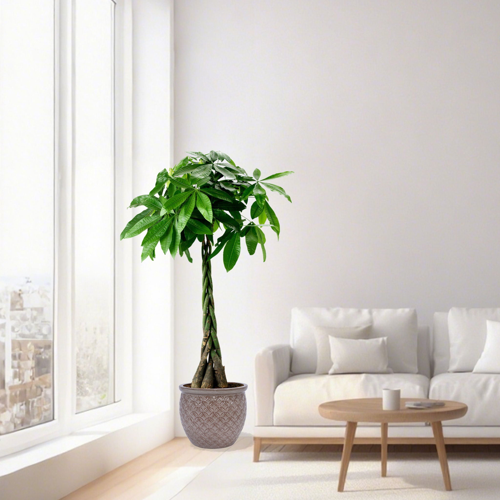 3 Pieces Ceramic Flowerpot, Planter For Patio &amp; Garden Or Windowsills - Antique Yellow