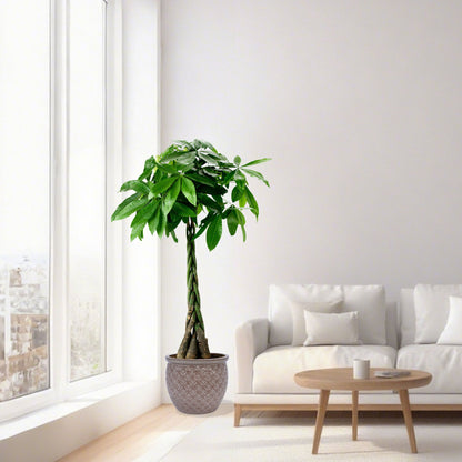 3 Pieces Ceramic Flowerpot, Planter For Patio &amp; Garden Or Windowsills - Antique Yellow