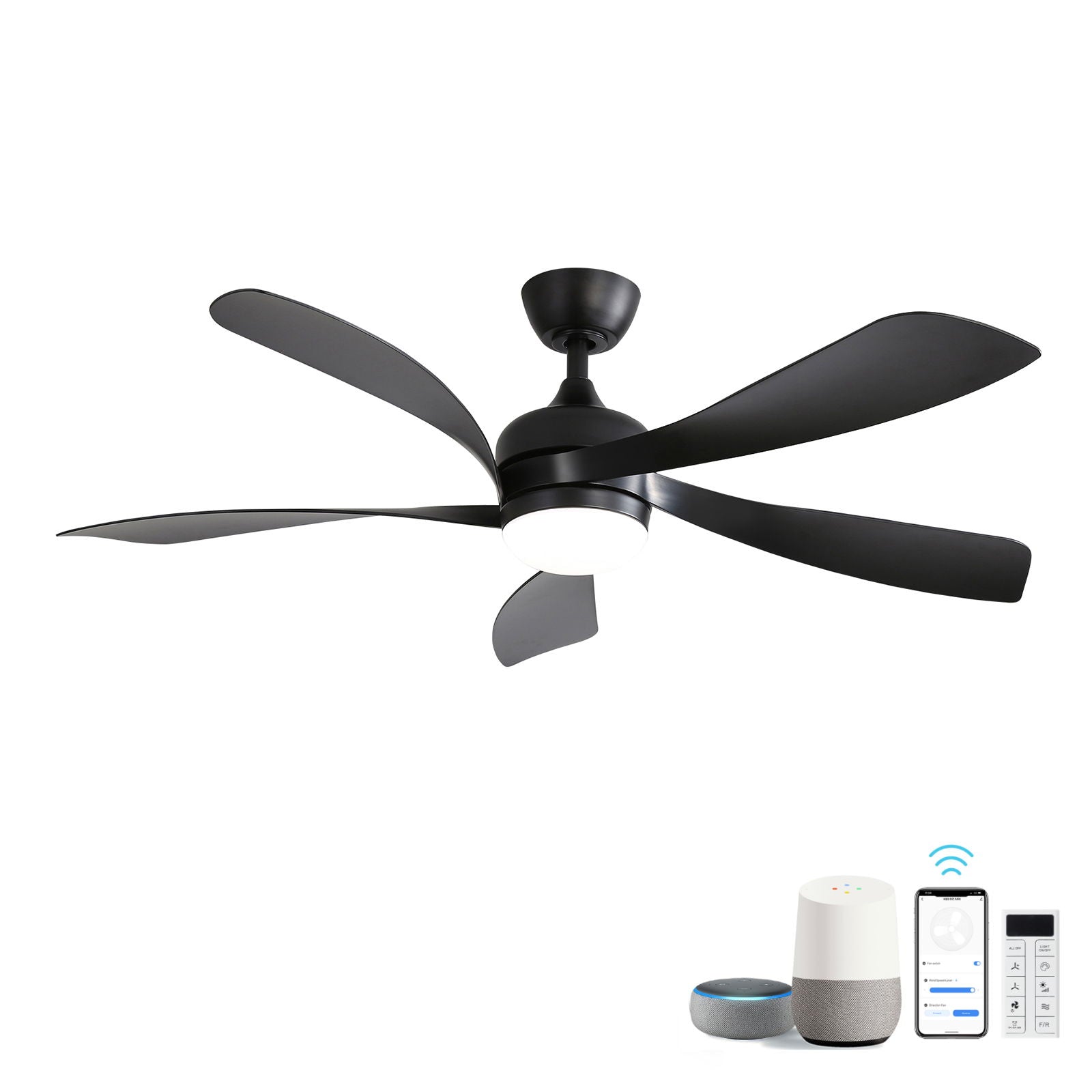 Ceiling Fan &amp; DC Motor And Integrated Light