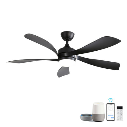 Ceiling Fan &amp; DC Motor And Integrated Light