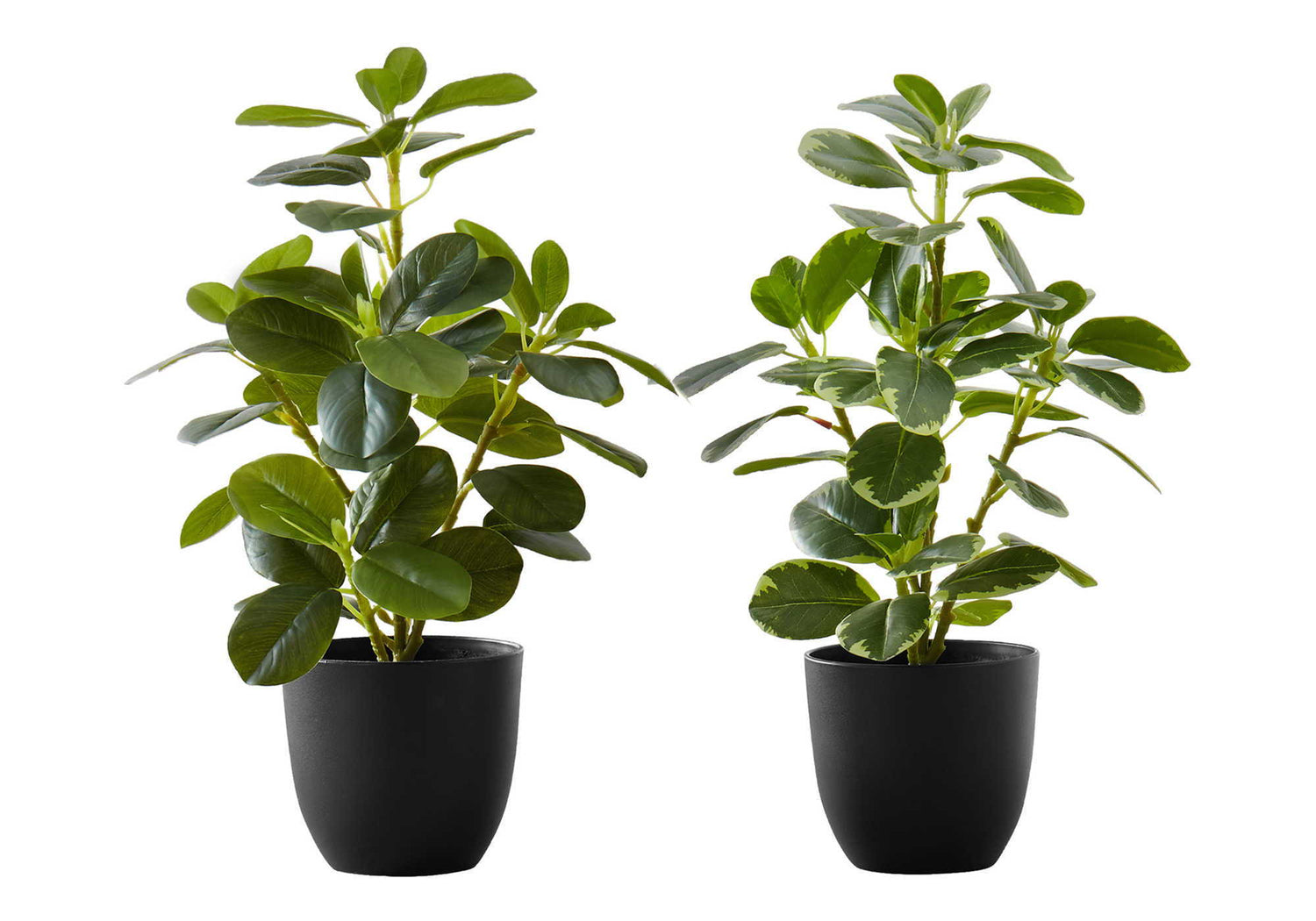 14&quot; Tall, Artificial Plant, Ficus, Indoor, Faux, Fake, Table, Greenery, Potted, Decorative (Set of 2) - Green / Black